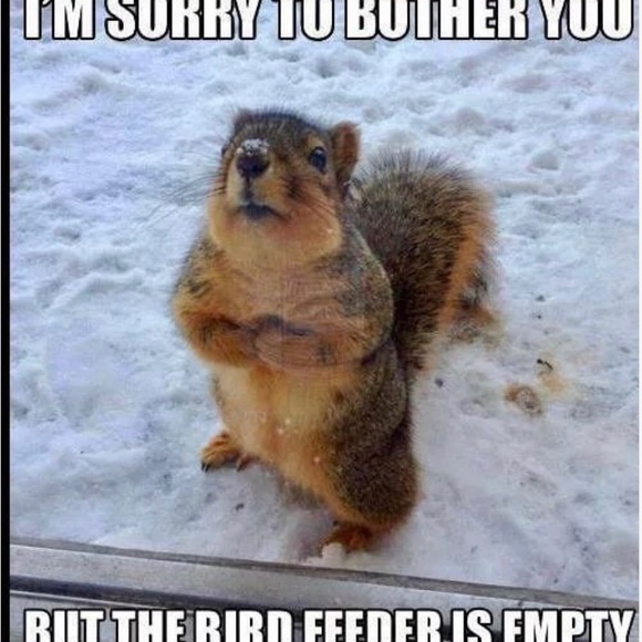 Meet Your Posher, Karri - Picture 15 of 17